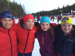 Larvik Ski2