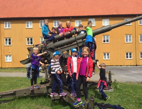 Topp med rulleski